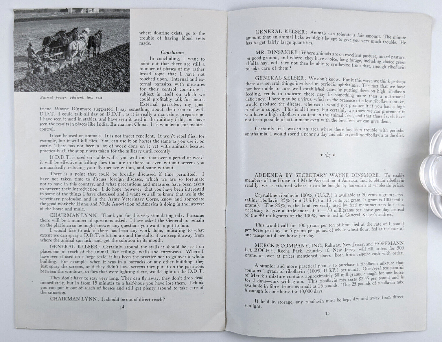 1946 Horse And Mule Association Brochure Preventing And Controlling Diseases