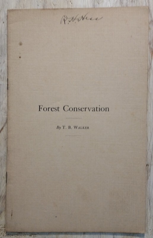c1900 Forest Conservation by Thomas Barlow TB Walker