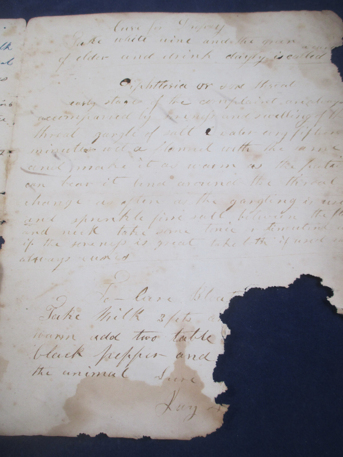 FARMING HISTORY – SALE of CALF – FARM TIPS DOCUMENT – “1888 “ BILL OF SALE