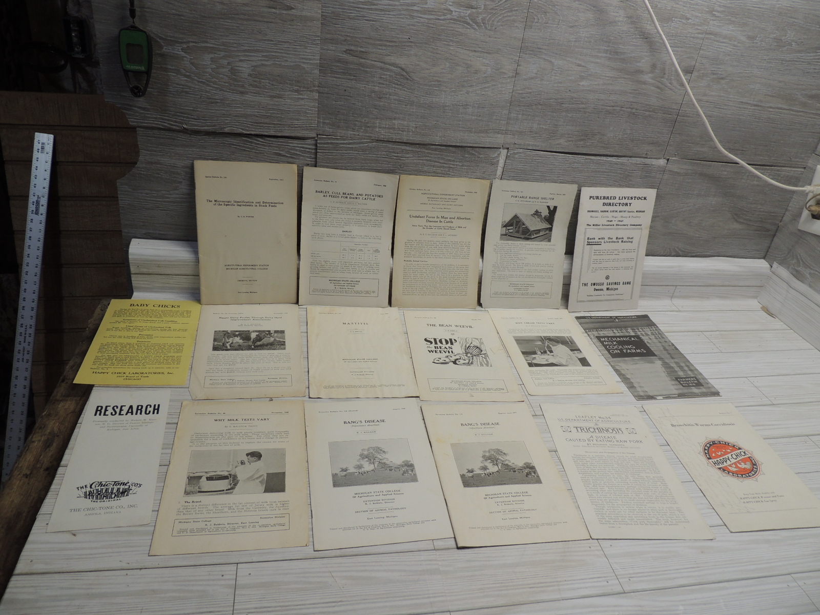 Lg Lot of Michigan State & USDA Bulletins 1920s-1930&rsquo;s Plus Happy Chick Brochure