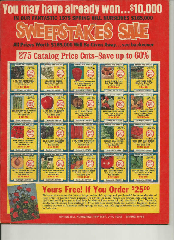 Spring Hill Nurseries 1975 Catalog- Tipp City Oh Flowers