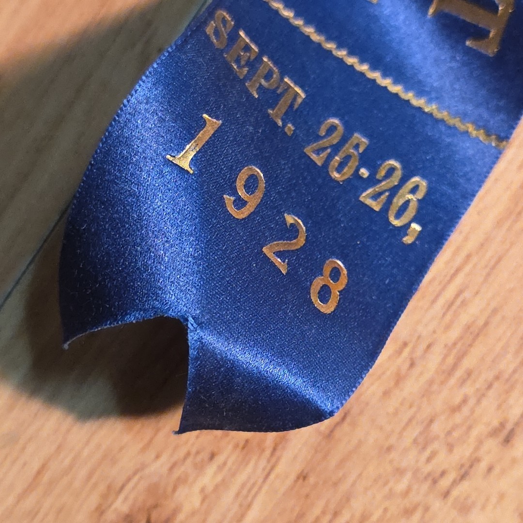 Antique VALLEY FAIR Brattleboro VT AGRICULTURE Celluloid HORSE Ribbon Badge