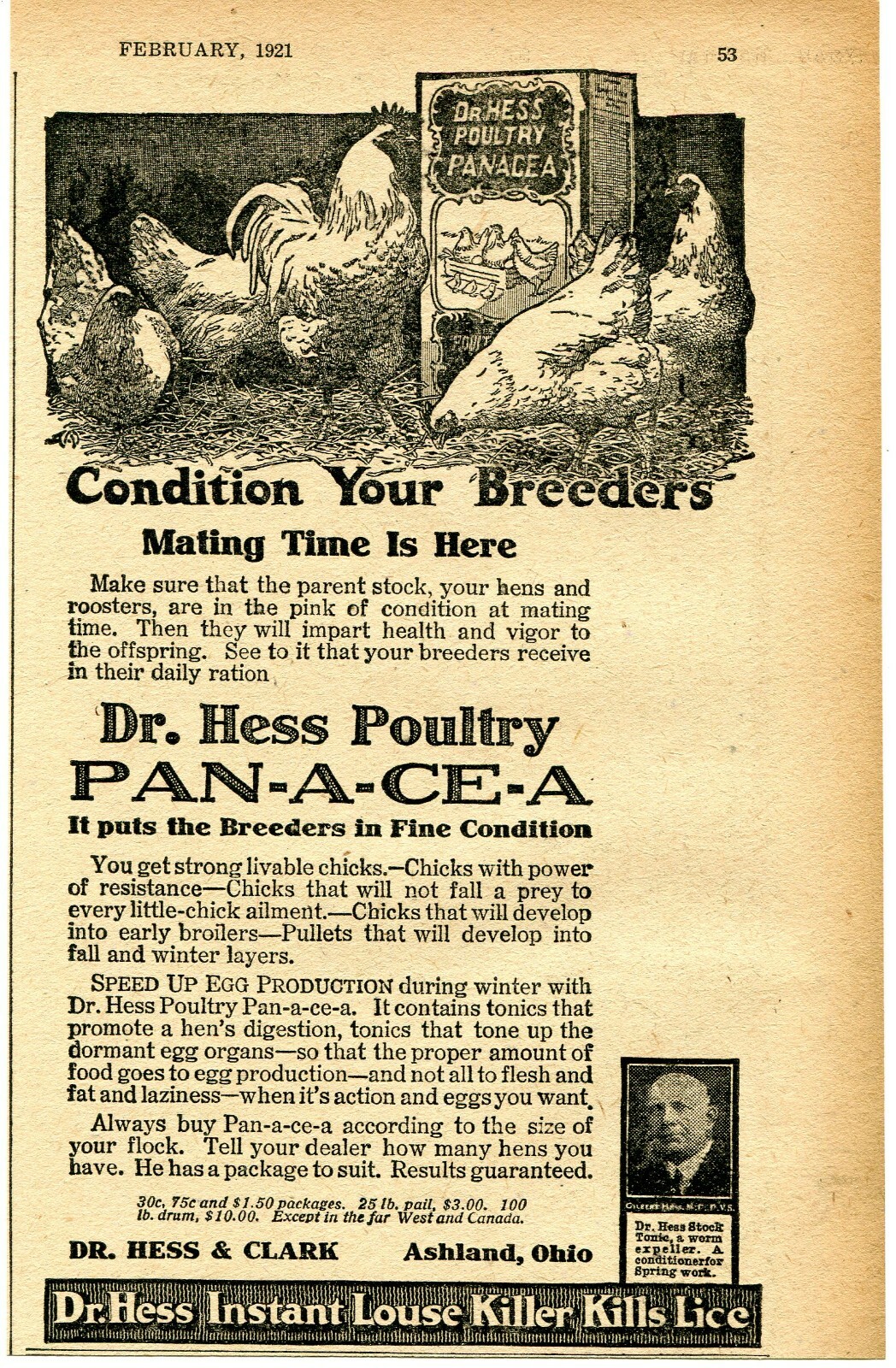 1921 small Print Ad of Dr Hess & Clark Poultry Pan-A-Ce-A mating time is here