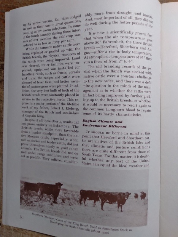 Brochure for Santa Gertrudis Beef Cattle Breed at the King Ranch Kingsville TX