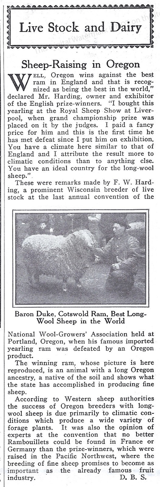 1911 Sheep Raising in Oregon Ad* Baron Duke Cotswold Ram Best in World Long Wool