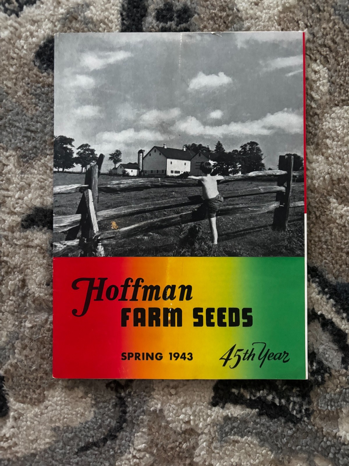 Pfister Hybrids Corn Guide For 1955 Brochure DCPA26