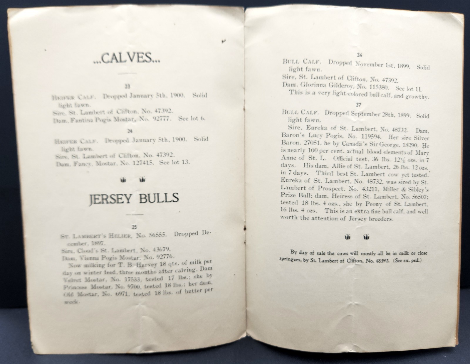 Clifton Farms Auction Catalogue Jersey Cattle & Chester Pigs Chester PA c.1900