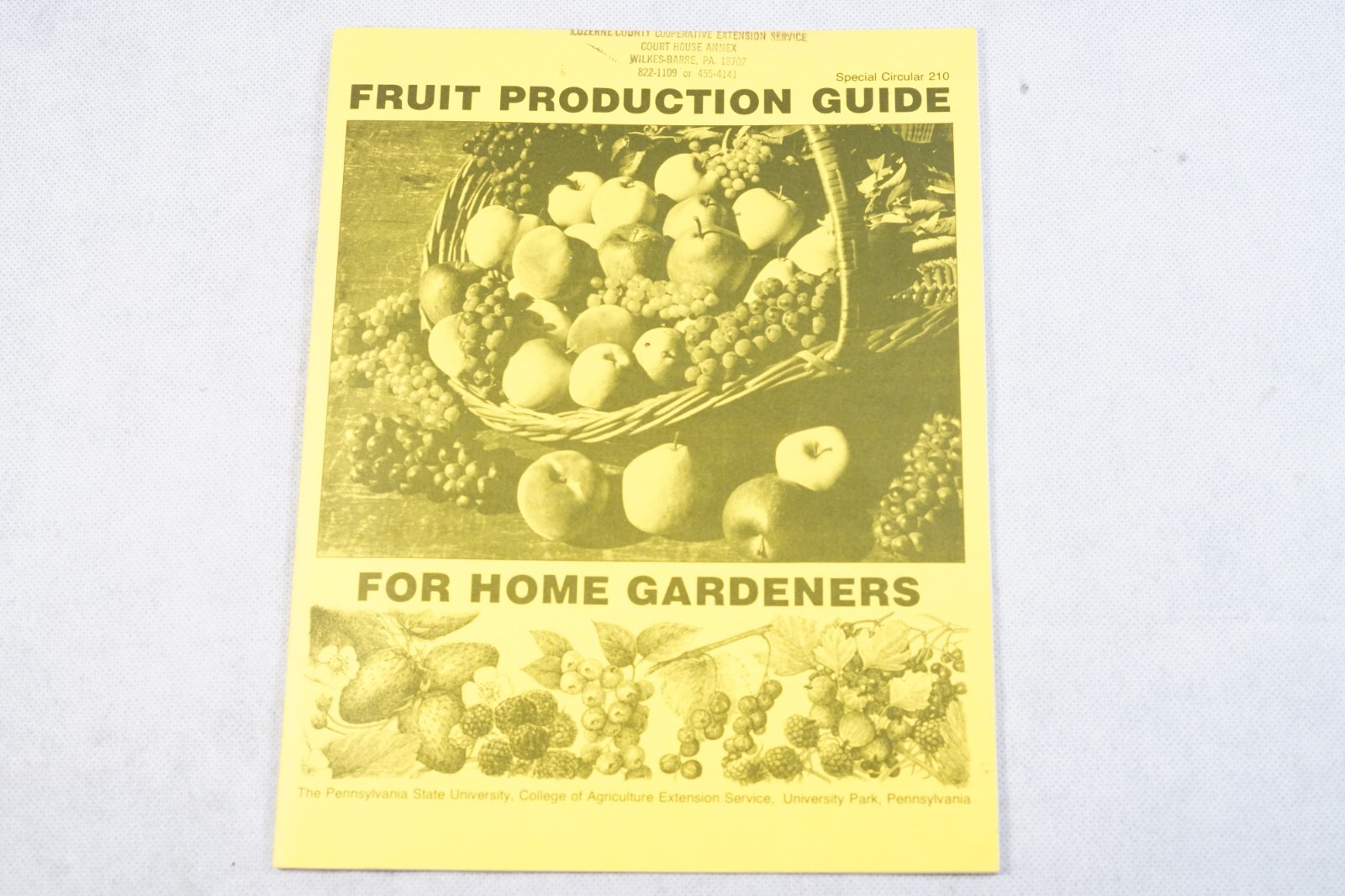 Vintage PA State Uni Fruit Production Guide Home Gardeners Agricultural Brochure