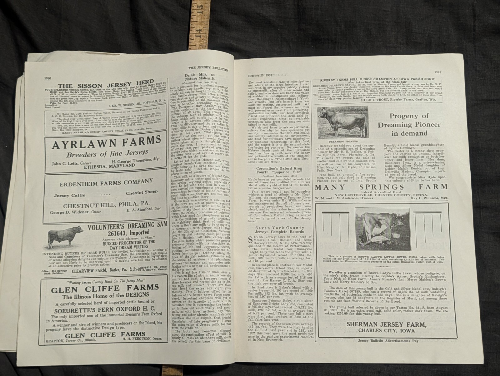 1933 The Jersey Bulletin, Agriculture dairy cattle farmer magazine