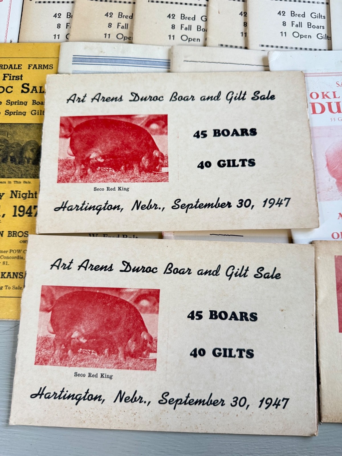 Mixed Lot of 34 Vintage Duroc Pig Hog Auction Sale Brochure Advertising KS NE CO