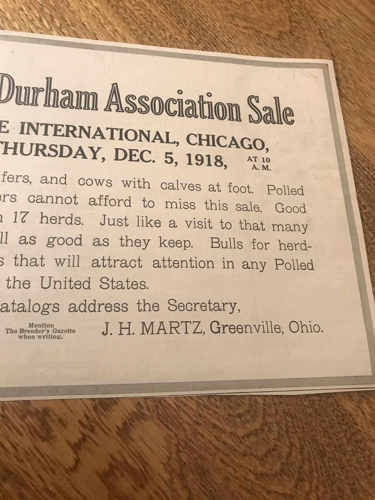 1918 Polled Durham Cattle Public Sale Poster – Chicago – Cow Advertising