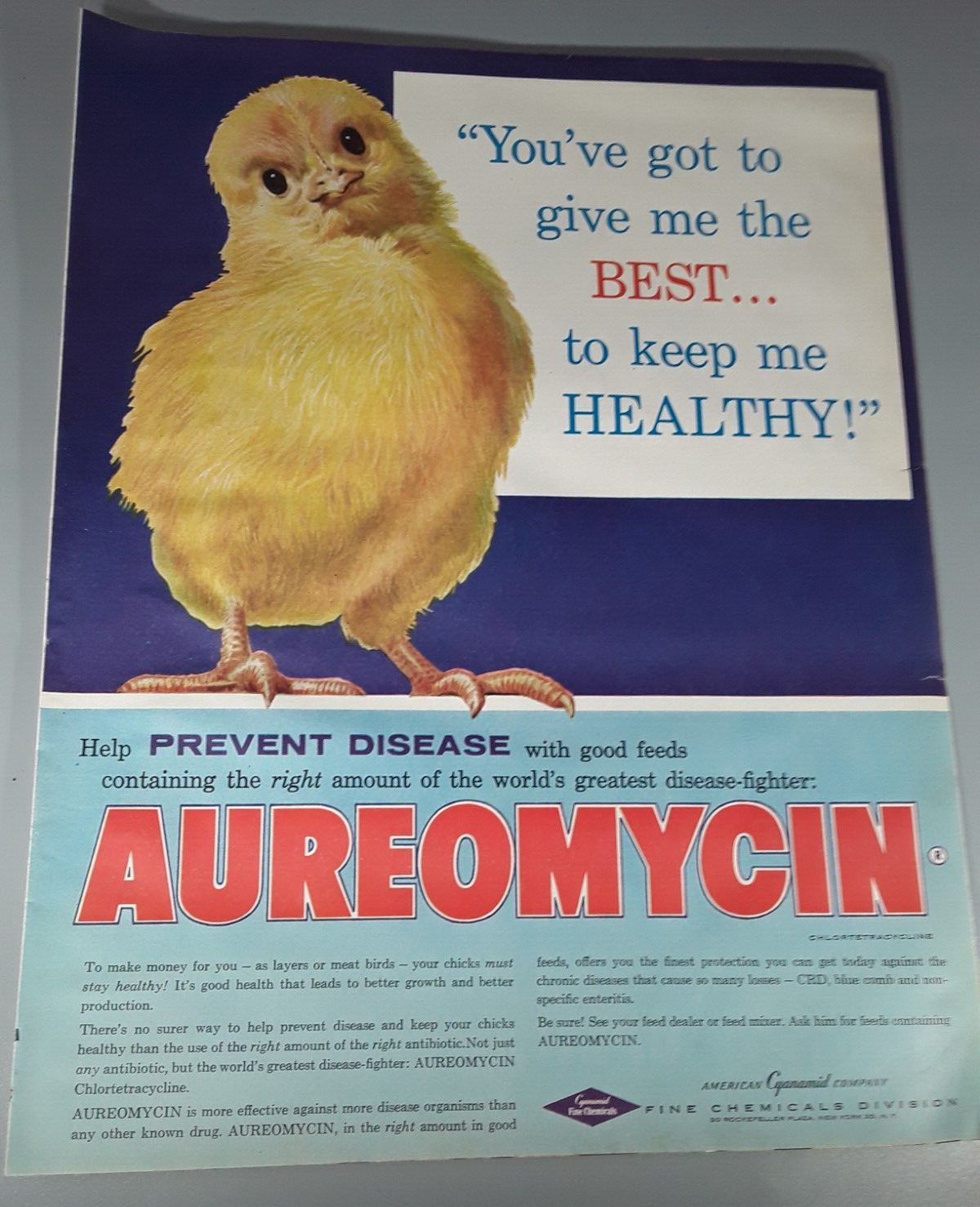 Original 1956 Aureomycin Antibiotic Magazine Ad