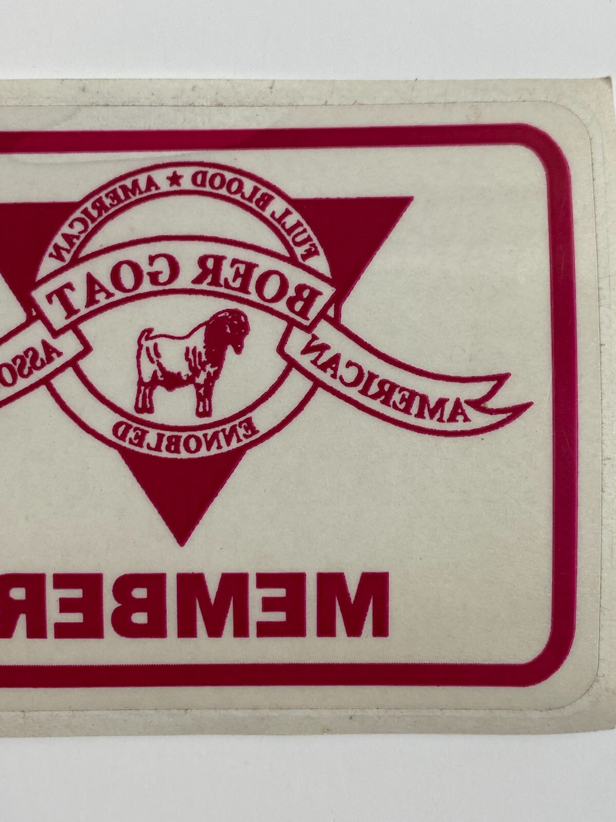 MEMBER American Boer Goat Association Full Blood Window Decal Sticker Livestock