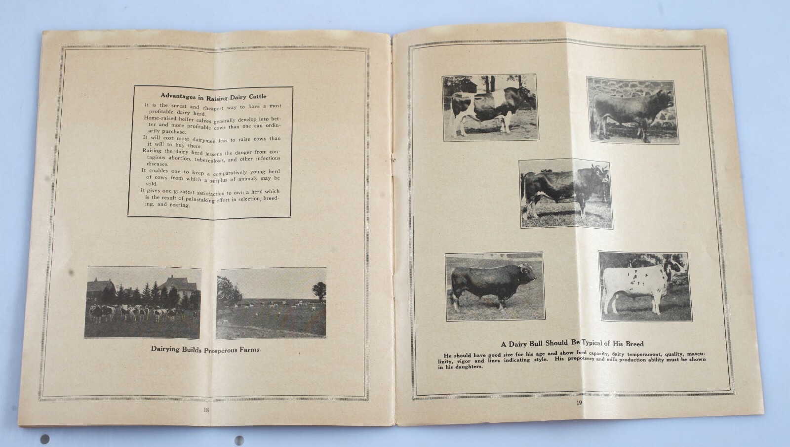 1924 Success With Dairy Cows Booklet Wisconsin College of Agriculture Extension