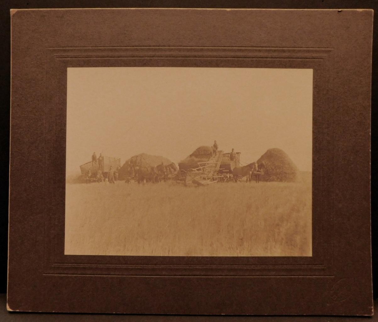 Harvest with Horse Drawn Hay Stacker Original Photographic Image C343