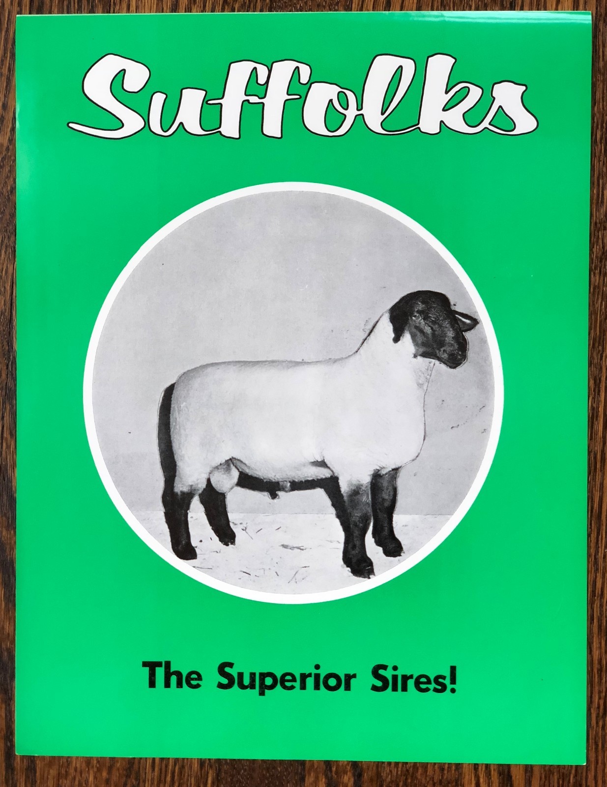2 SUFFOLK SHEEP Superior SIRES Breed Farm Advertising 2Sided Paper SIGN Vintage