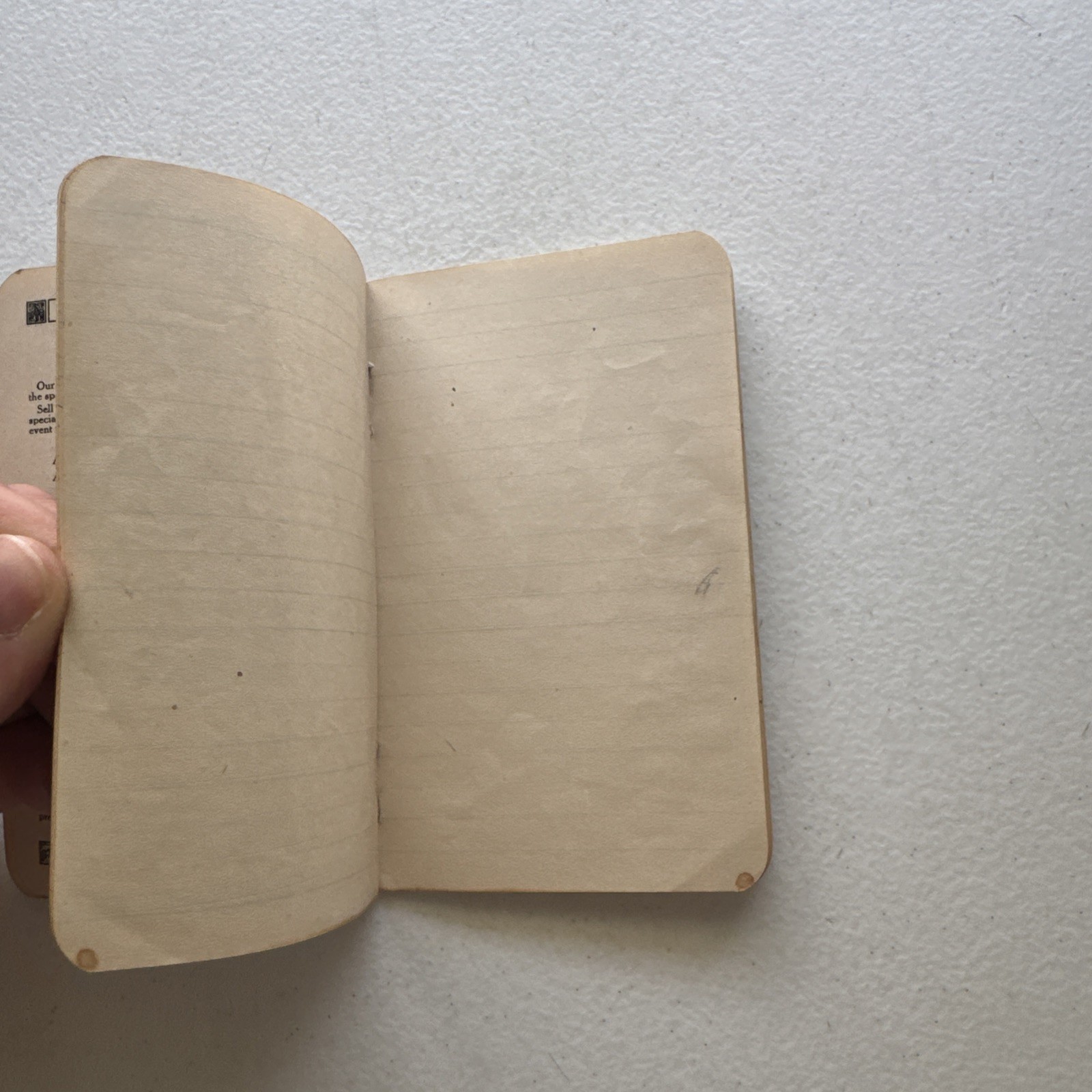 1917 Dempwolf&rsquo;s Fertilizers York Chemical Works York, PA Announcement Book