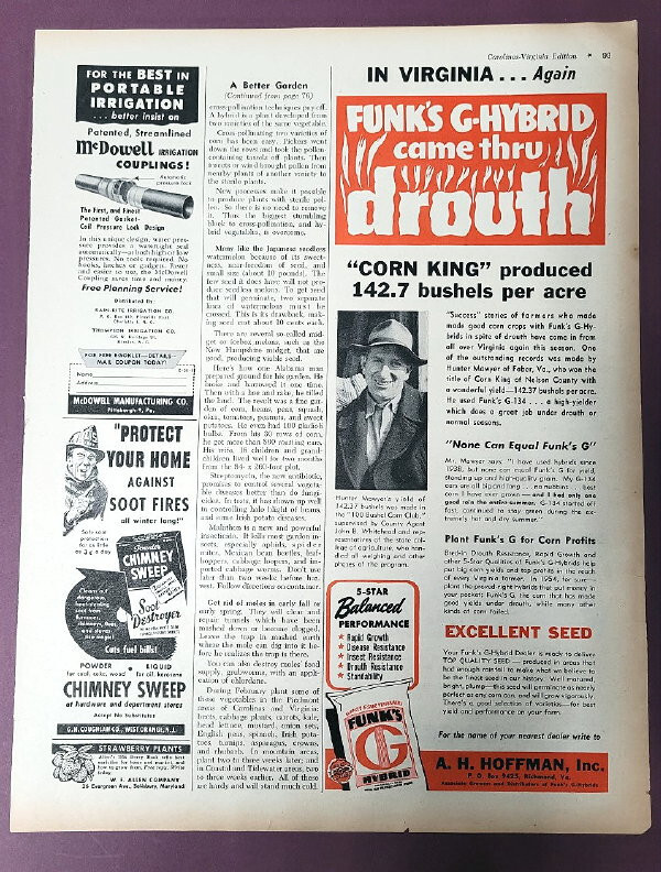 Original 1954 Funk&rsquo;s Seed Ad Features photo of Hunter Mawyer of Faber Virginia