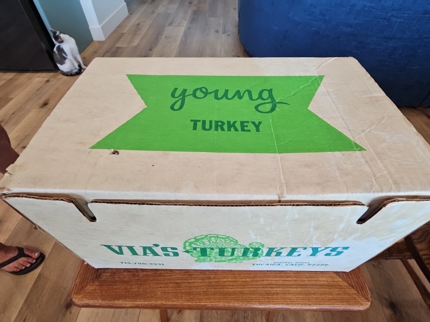 Vintage Cardbord Box Via&rsquo;s Turkeys Yucaipa Ca. 17×11&Prime; Good HANDLES 👍 1970&rsquo;s