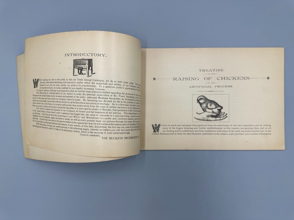 Rare 1893 BUCKEYE INCUBATOR CO Chicken CHICKS Farm Advertise BOOK Springfield OH