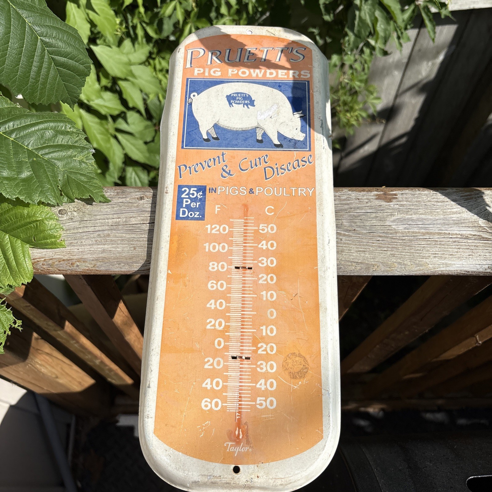 Vintage Pruett’s Pig Powders Thermometer Metal Tin Sign As Is Needs Thermometer