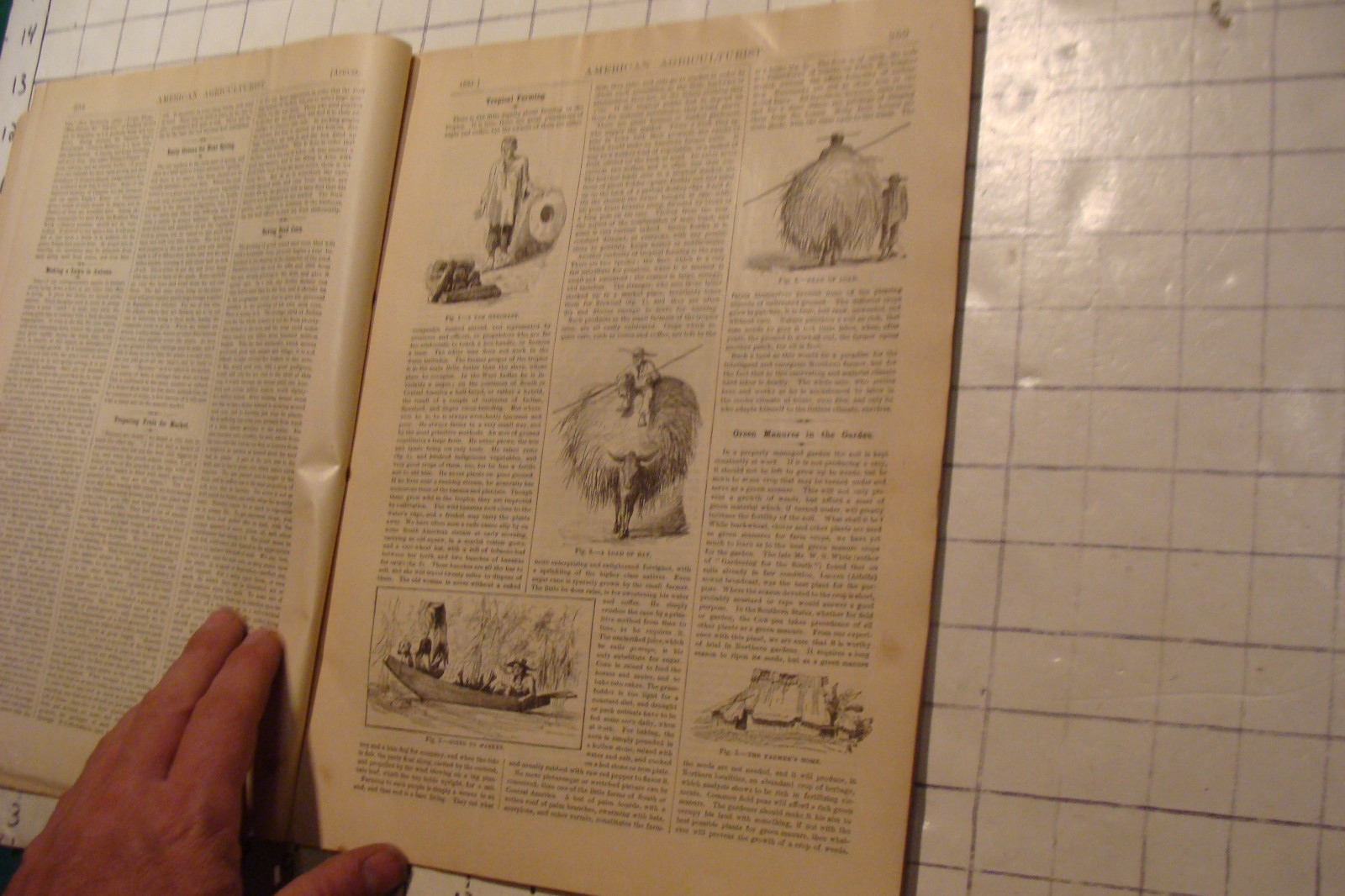 Vintage American Agriculturist 1883 august; great vignettes, horses running