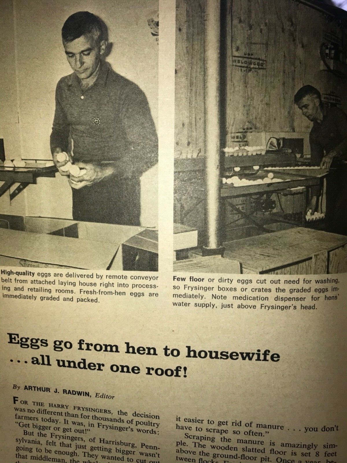 VTG. 1966 ELECTRICITY ON THE FARM EOF Magazine Electromode, McNeil Corp. Milk