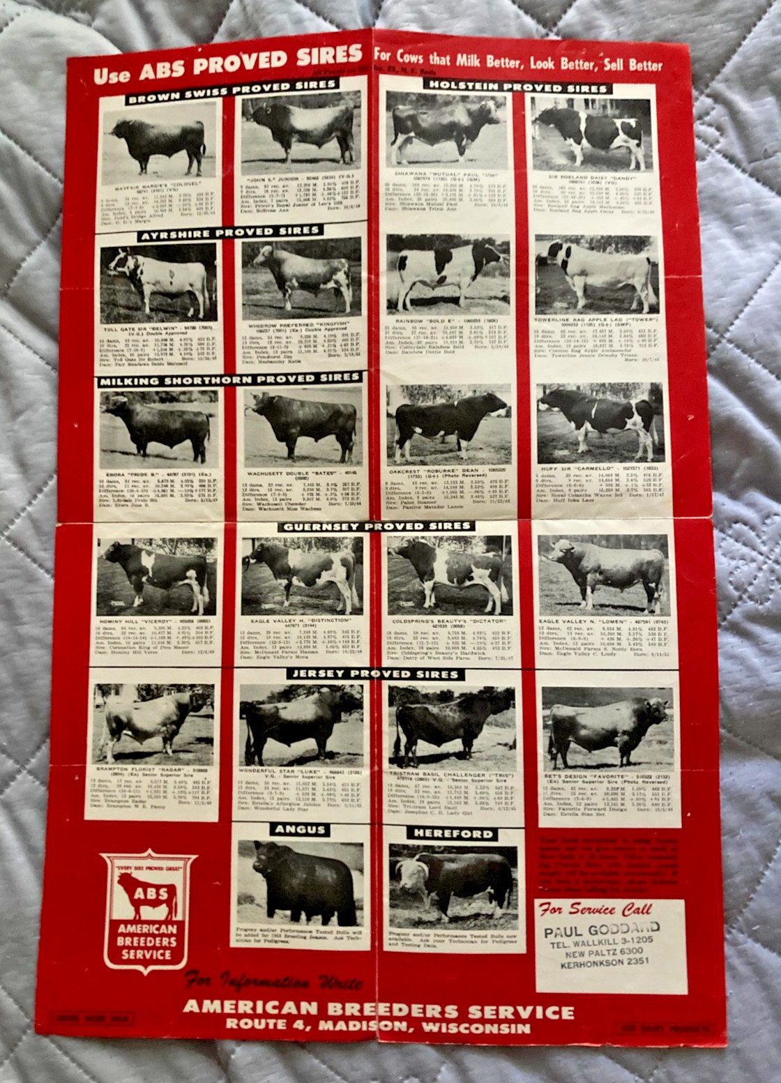 1957 American Breeders Service Foldout Brochure Artificial Breeding Dairy Cattle