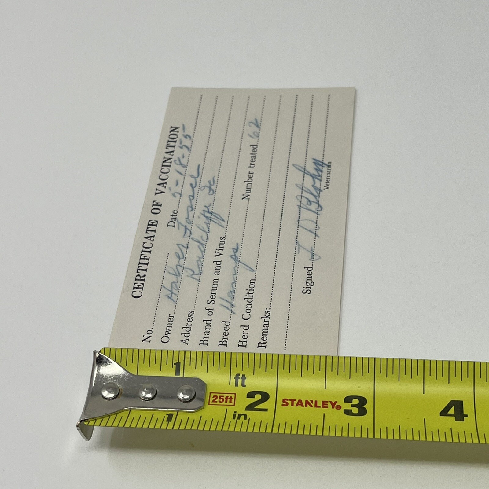 1955 Certificate Of Vaccination Radcliff IA Receipt For 62 Hamps Hampshire Cows