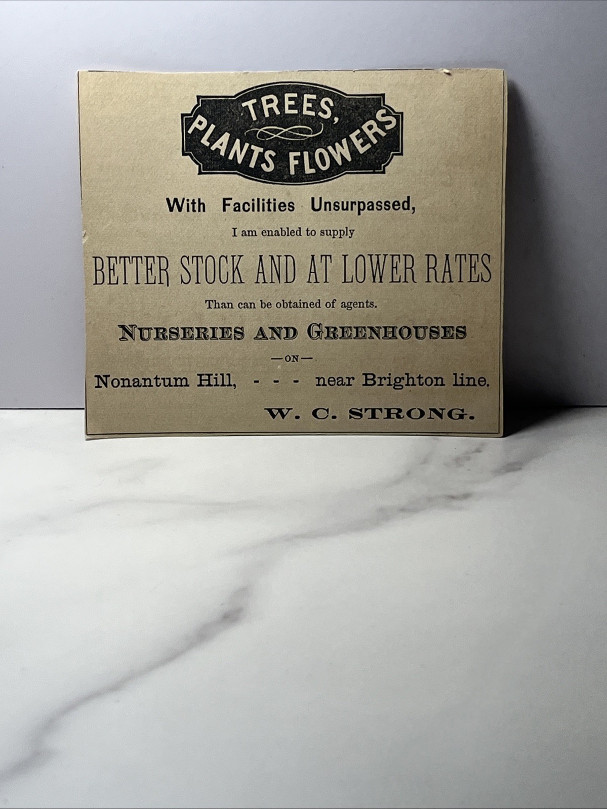 1900’s Print Ad Trees Plants And Flowers Nurseries And Greenhouses W.C. Strong
