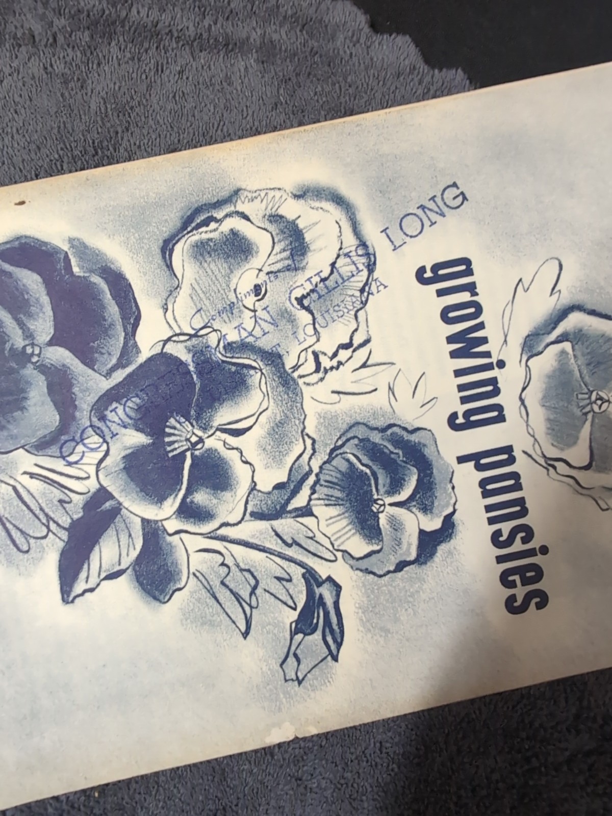 Vintage U.S. Department Of Agriculture Growing Pansies Pamphlet Flower Congress