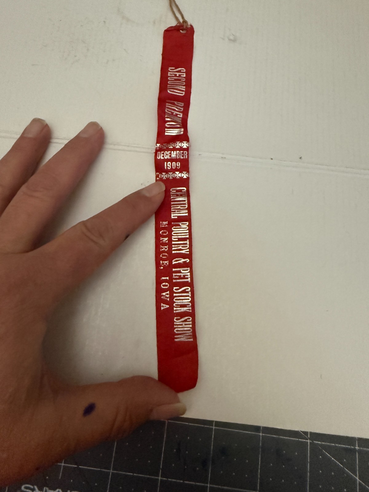 1909 Central Poultry & Pet Stock Show Monroe Iowa Second Premium Ribbon