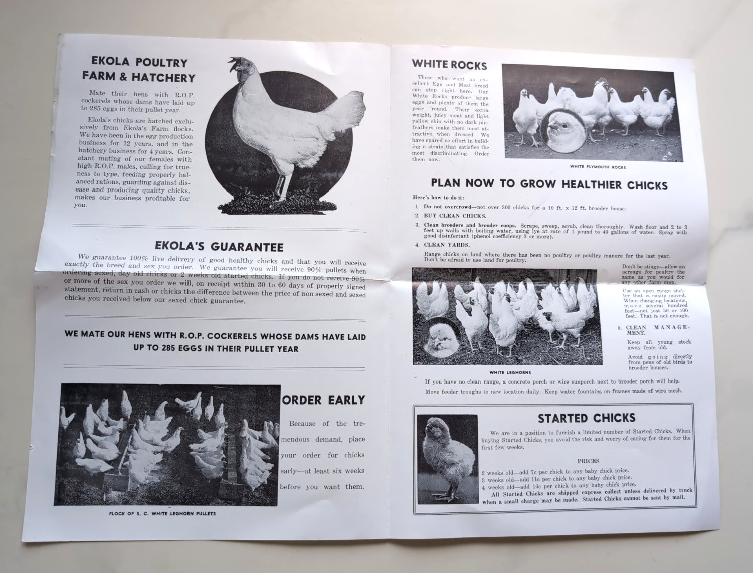 Vtg Ekola Bros. Poultry Farm & Hatchery Price Brochure Crystal Falls, Michigan