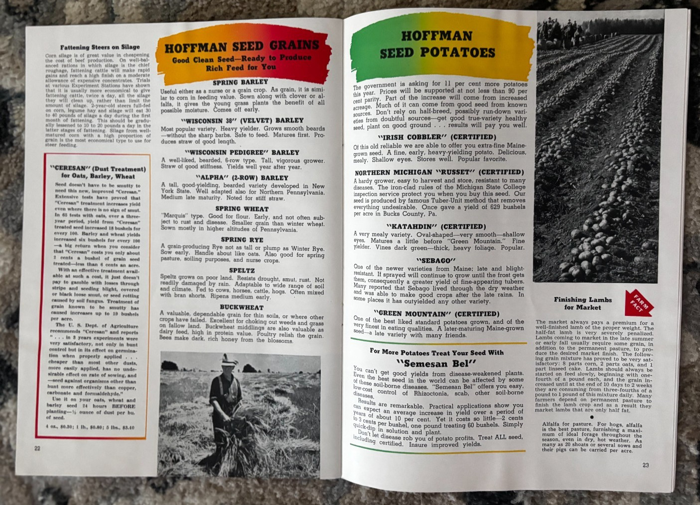 Pfister Hybrids Corn Guide For 1955 Brochure DCPA26