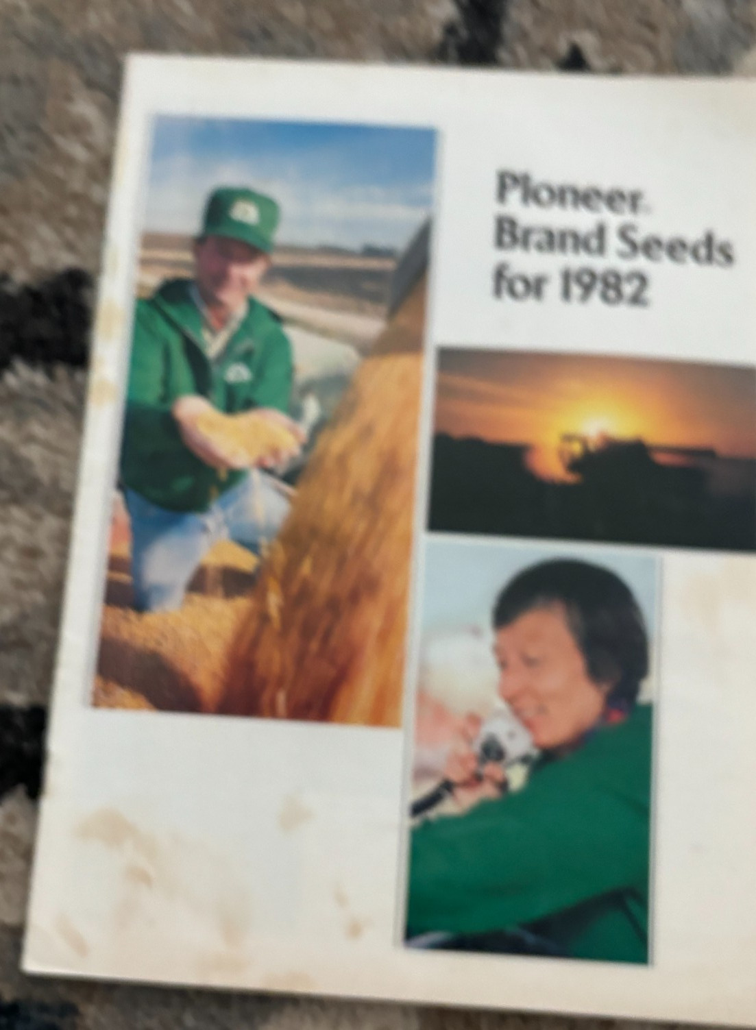 Pioneer Hybrids Seed Corn For 1982 Brochure DCPA26