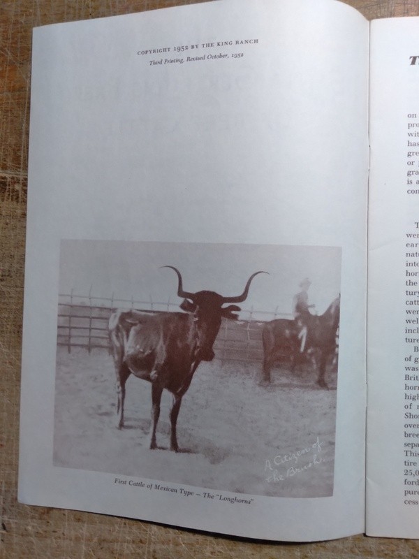 Brochure for Santa Gertrudis Beef Cattle Breed at the King Ranch Kingsville TX