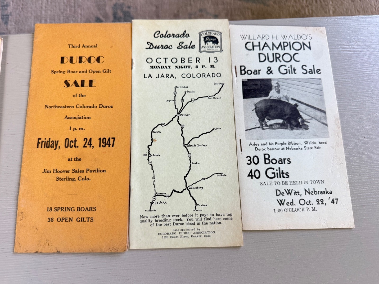 Mixed Lot of 34 Vintage Duroc Pig Hog Auction Sale Brochure Advertising KS NE CO