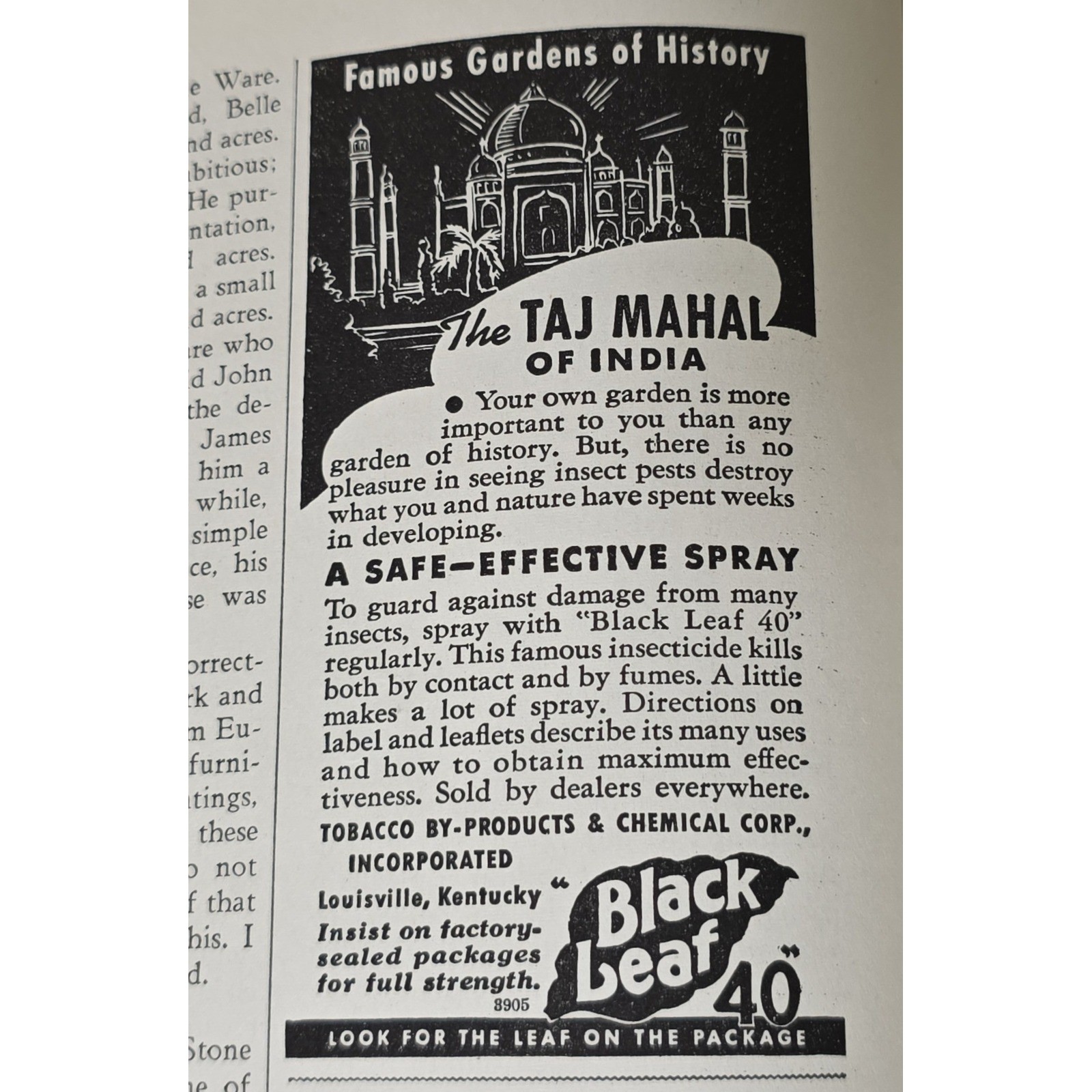 Vintage Black Leaf 40 Insecticide Advertisement 1939