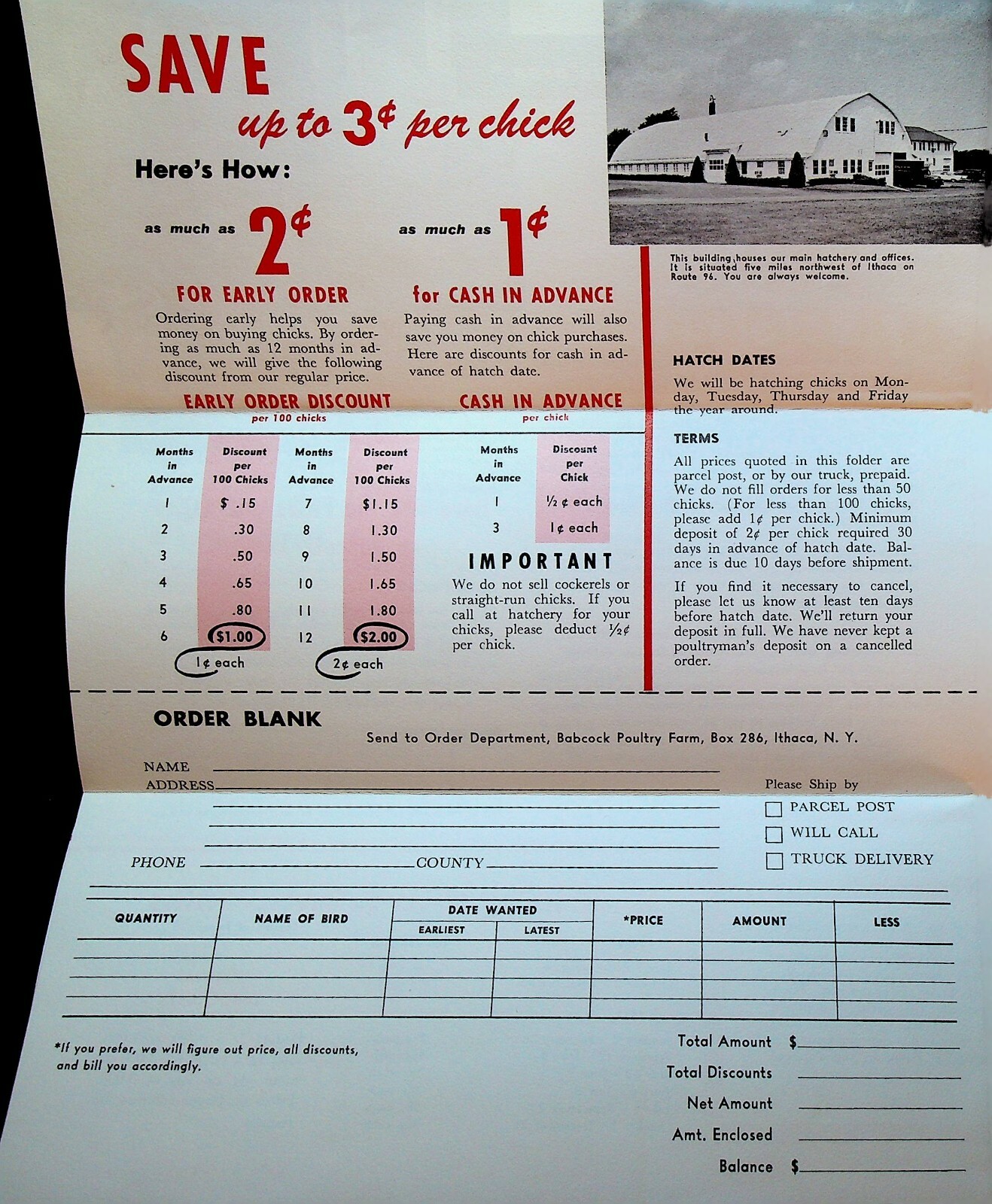 Babcock Poultry Farm Ithaca NY Ad Brochure Hens Babcock Bessies Lotties 1958