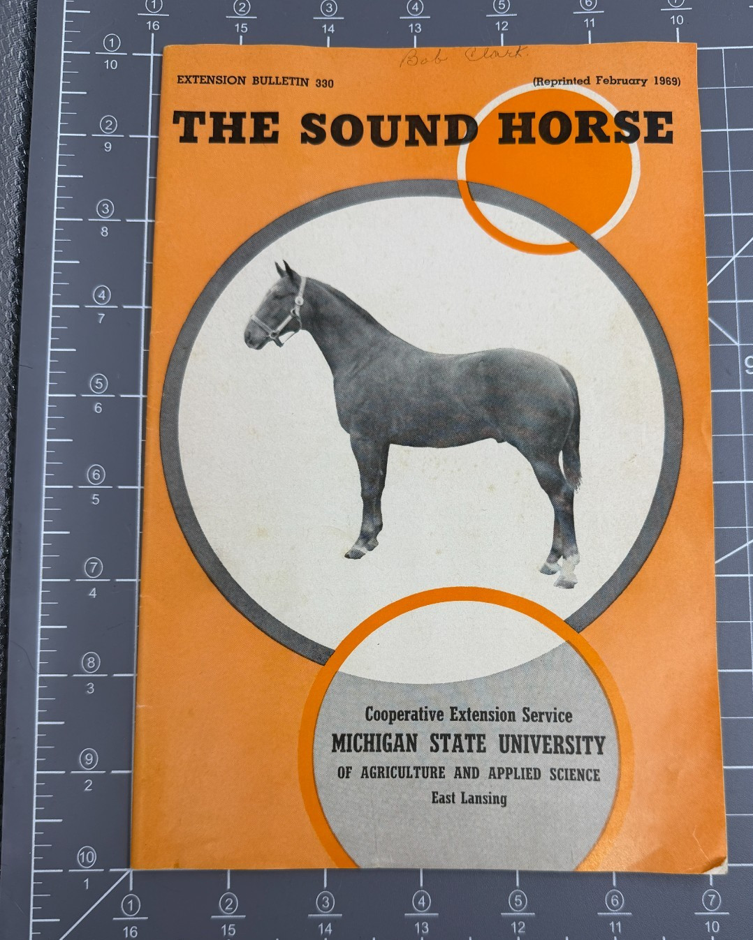 Vintage Feb. 1969 Pamphlet Booklet – The Sound Horse – Michigan State Unv. MSU