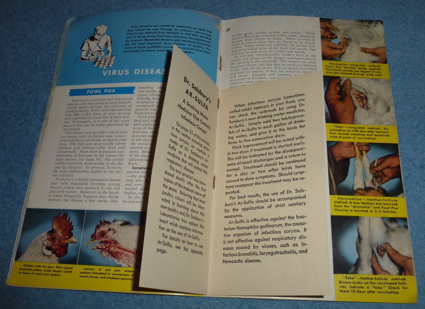 1948 Dr. Salsbury&rsquo;s Manual of Poultry Diseases Advertising Booklet