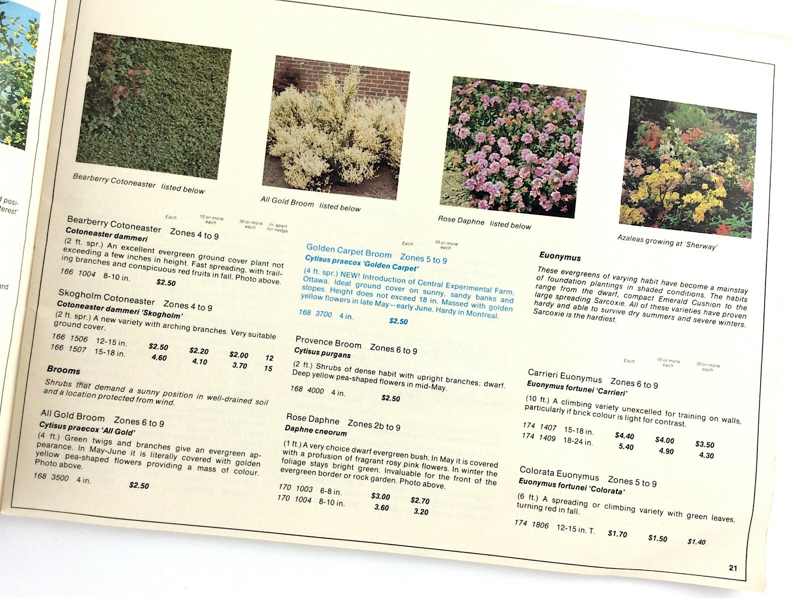 Sheridan Nurseries 1969 Garden Plants Flowers Booklet Guide Catalog L330