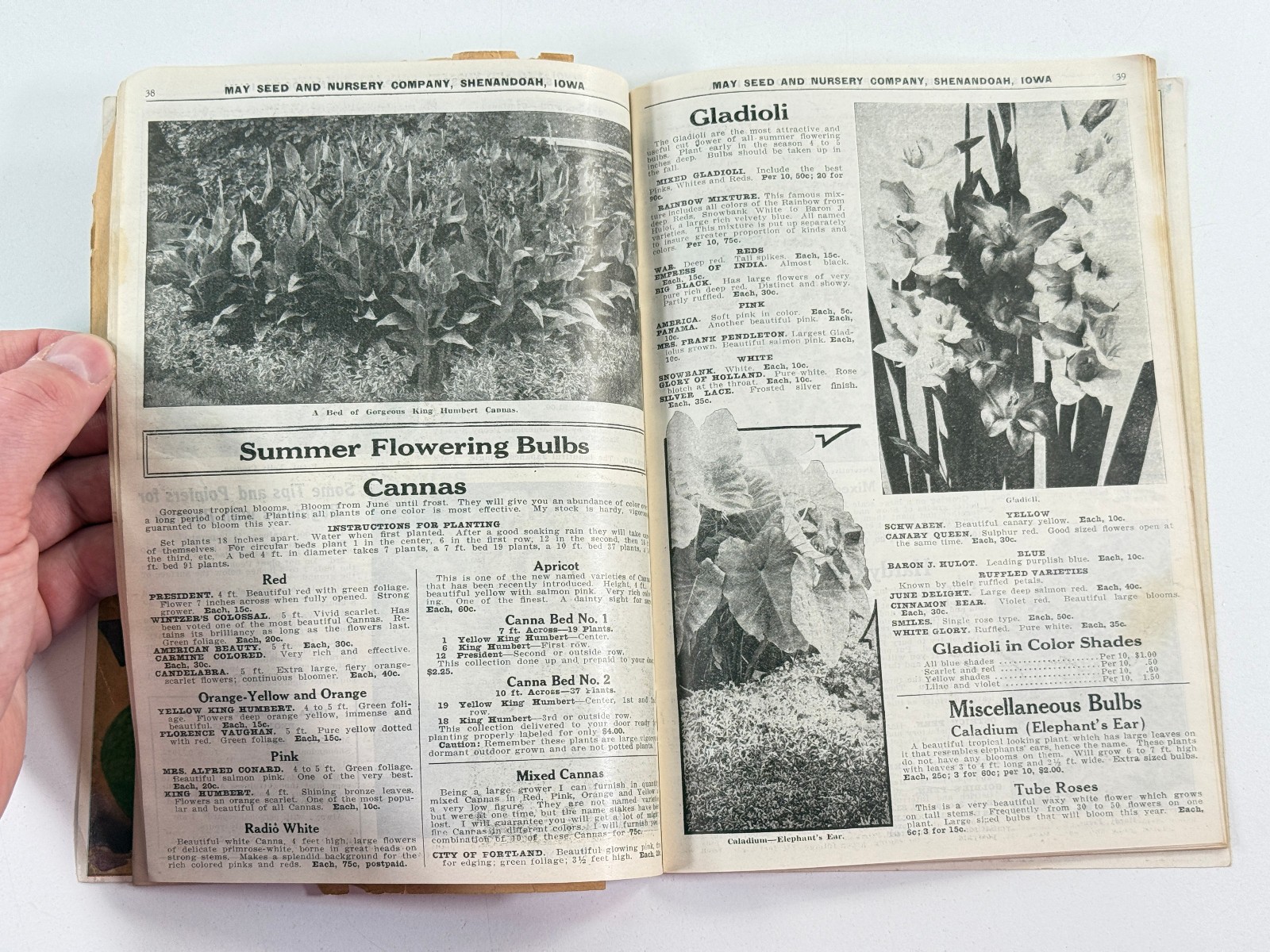 1924 May Seed Advertising Catalog Shenandoah Iowa IA