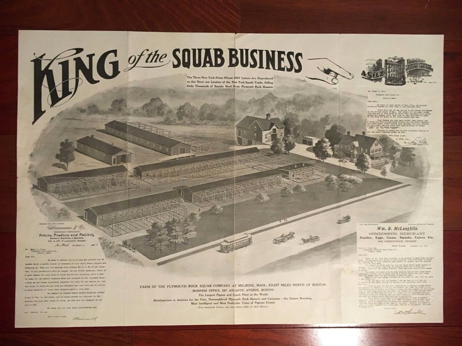 VINTAGE 1907 PIGEON SQUAB FARMING ADVERTISING POSTER BROCHURE 15 X 22&Prime; BOSTON MA