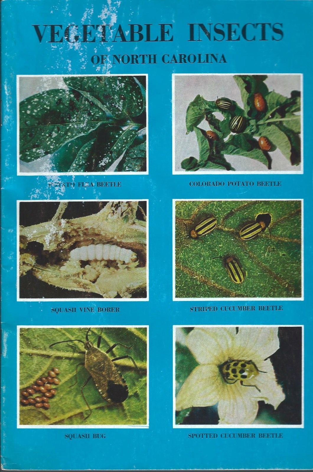 Farm Technical Report – Vegetable Insects North Carolina – Pests – 1972 (F5572)
