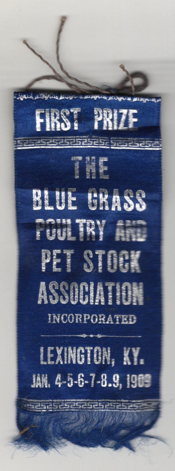 1909 – Blue Grass Poultry Show Lexington KY First Prize Ribbon XL2Z