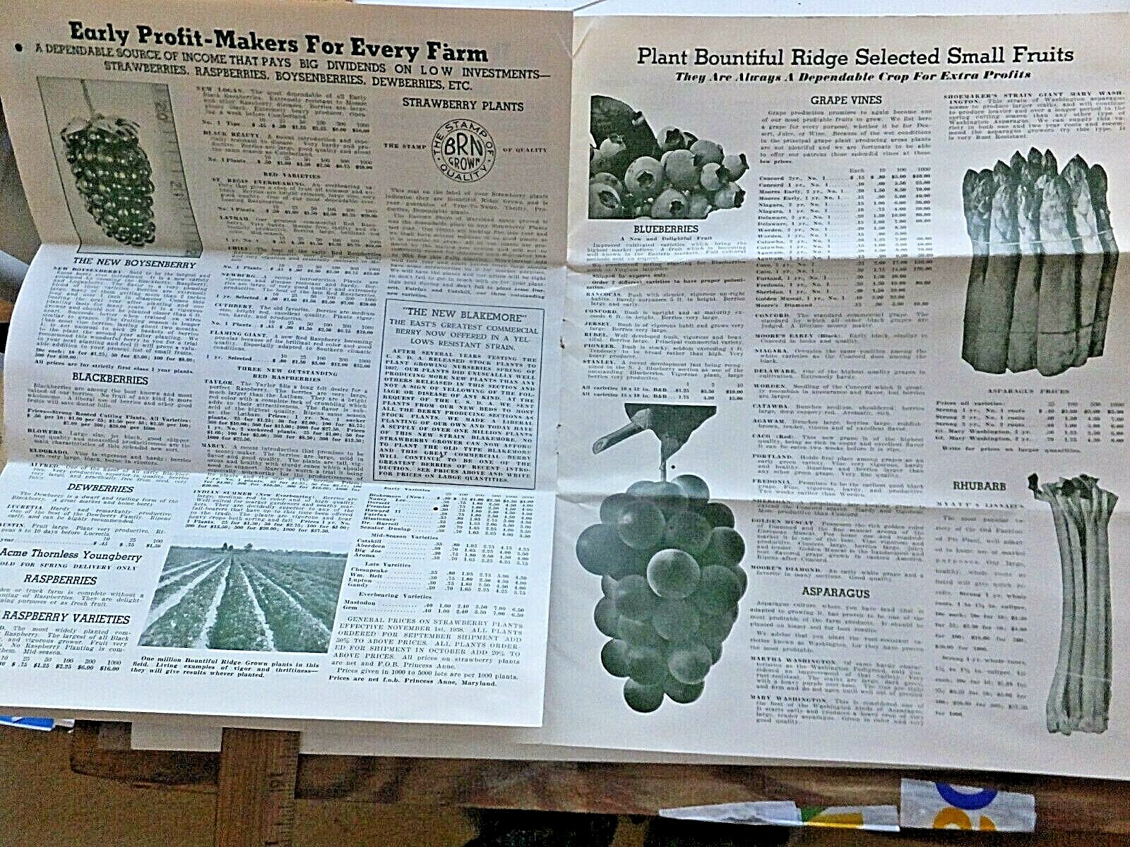 1938 Bountiful Ridge Nurseries, Princess Anne, MD. Complete Price List for Fall.
