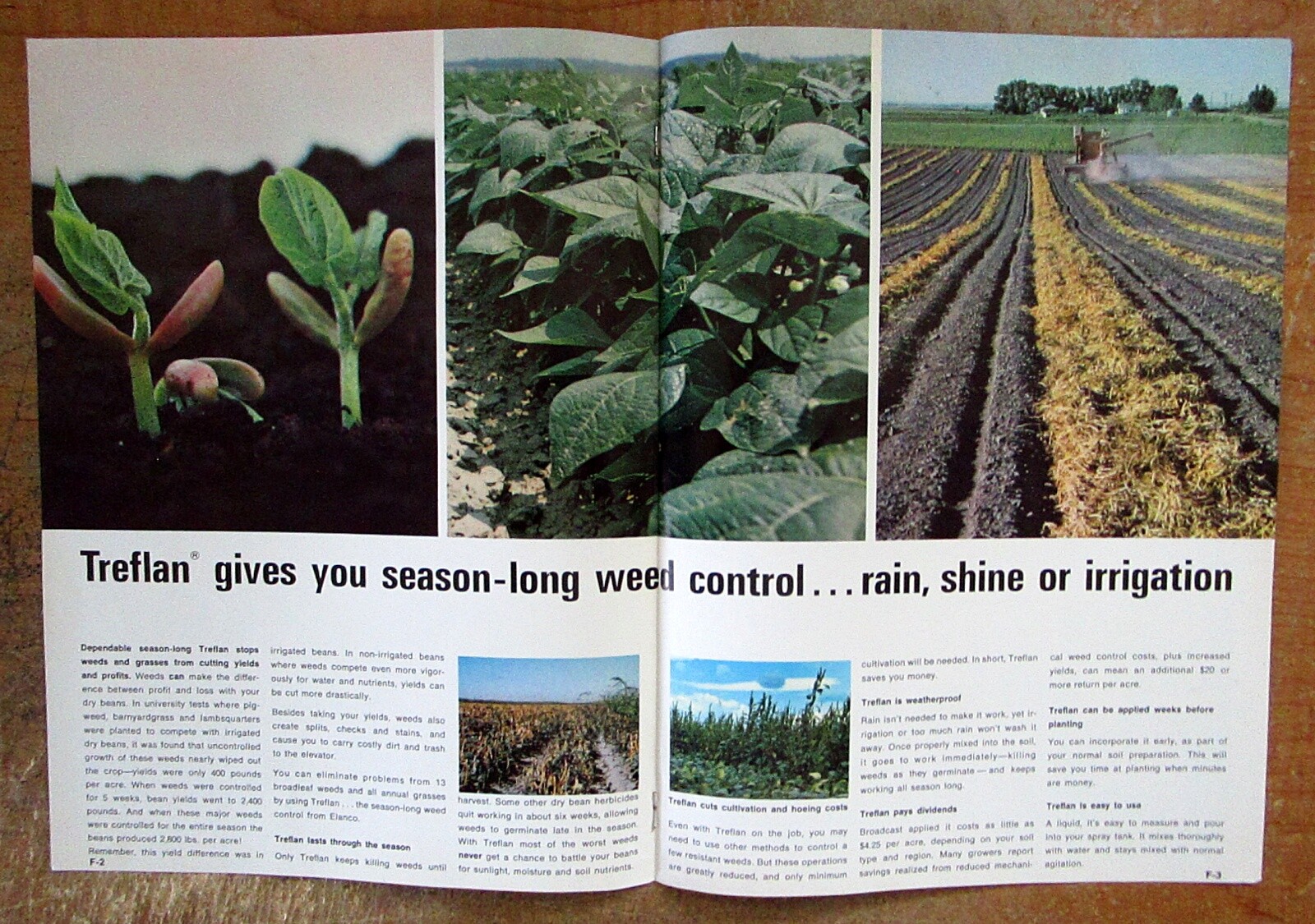 Lot of (2) 1960&rsquo;s Elanco Treflan Weed Killer Bean Fields Original Color Brochure