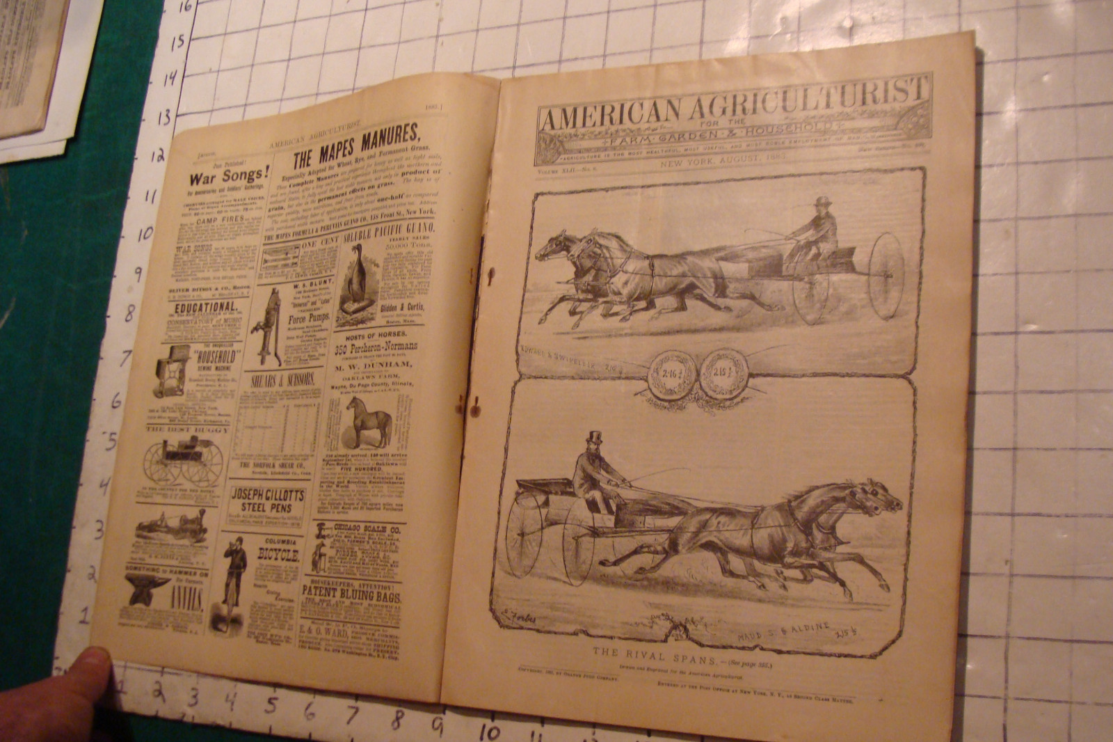 Vintage American Agriculturist 1883 august; great vignettes, horses running