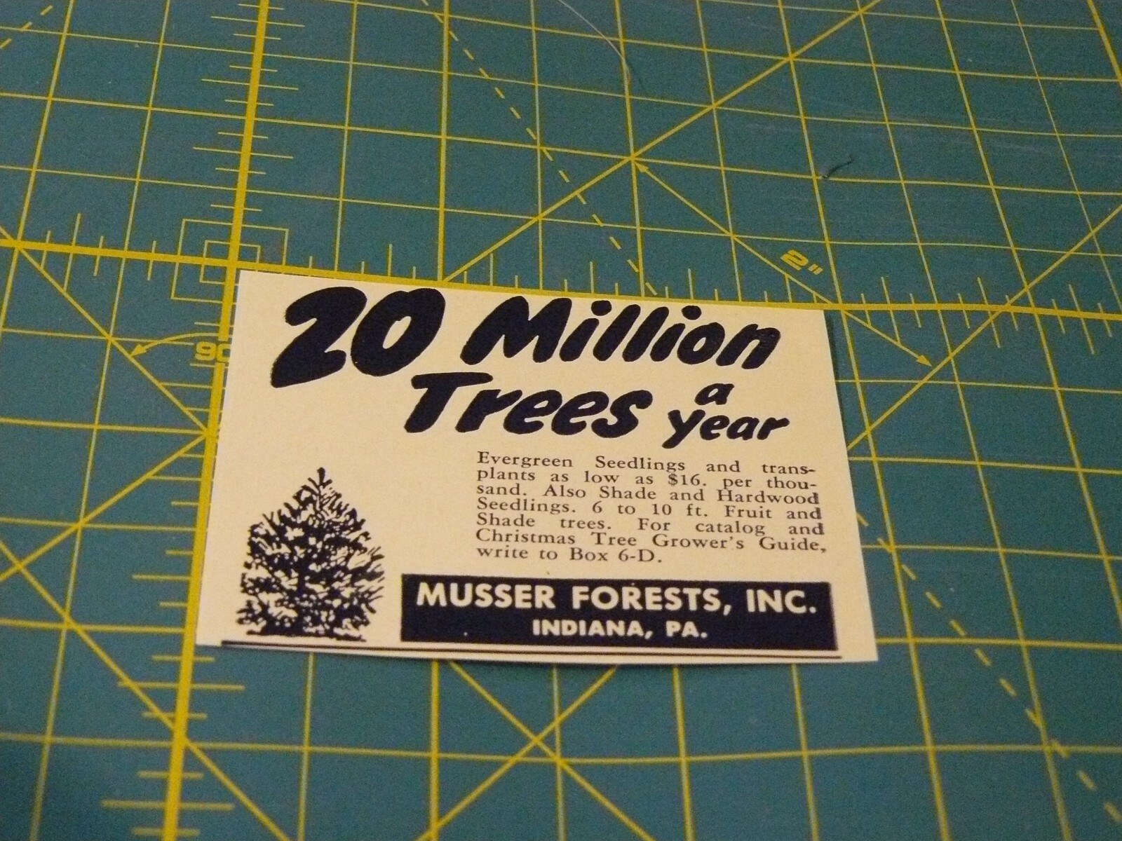 The FARM QUARTERLY-AD-SPRING 1951-MUSSER FORESTS 20 MILLION TREES YR/ Indiana,PA